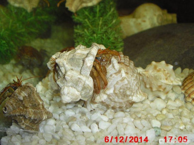 Фото Маленький кусочек моря (photo#157105)