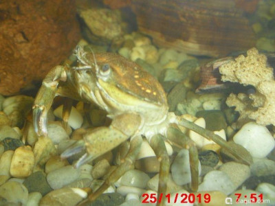 Фото Маленький кусочек моря (photo#157106)