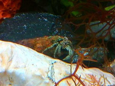 Фото Маленький кусочек моря (photo#157107)