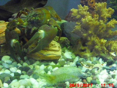 Фото Маленький кусочек моря (photo#157108)