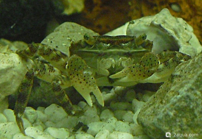 Фото Маленький кусочек моря (photo#157109)