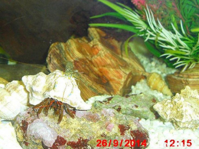 Фото Маленький кусочек моря (photo#157110)