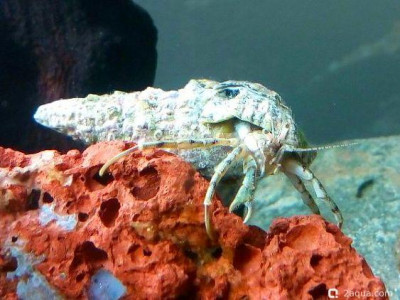 Фото Маленький кусочек моря (photo#157111)