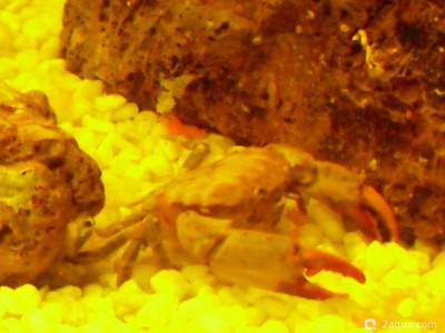 Фото Маленький кусочек моря (photo#157113)