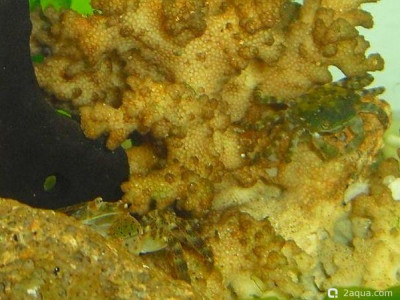 Фото Маленький кусочек моря (photo#157114)