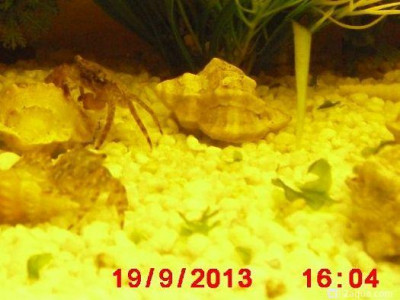 Фото Маленький кусочек моря (photo#157117)