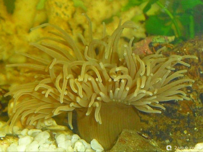 Фото Маленький кусочек моря (photo#157118)