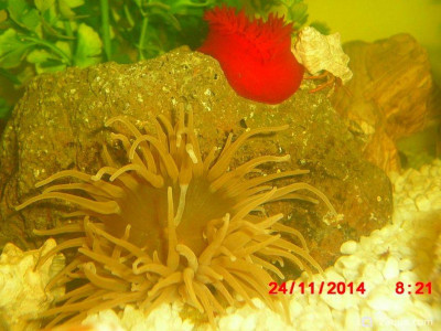 Фото Маленький кусочек моря (photo#157119)