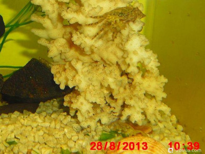 Фото Маленький кусочек моря (photo#157120)