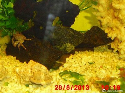 Фото Маленький кусочек моря (photo#157121)