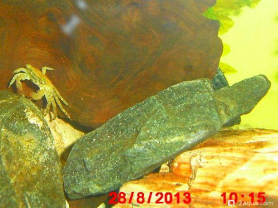 Фото Маленький кусочек моря (photo#157122)