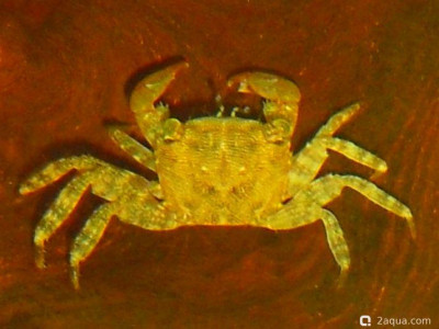 Фото Маленький кусочек моря (photo#157123)