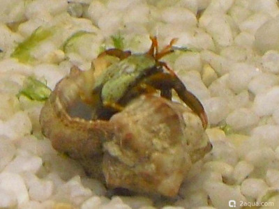 Фото Маленький кусочек моря (photo#157124)