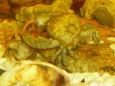 Фото Маленький кусочек моря (photo#157125)