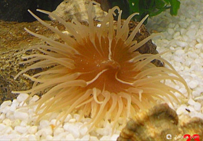 Фото Маленький кусочек моря (photo#157126)