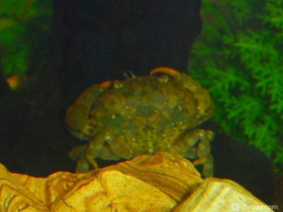 Фото Маленький кусочек моря (photo#157127)