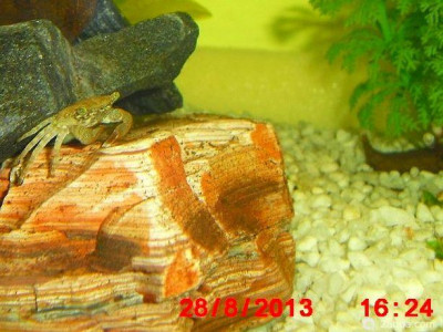 Фото Маленький кусочек моря (photo#157130)