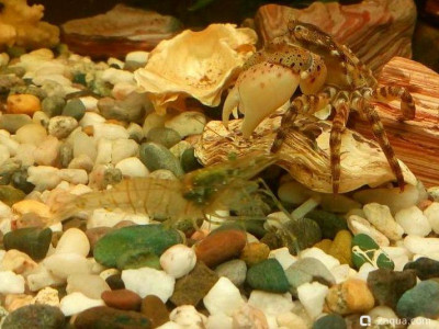 Фото Маленький кусочек моря (photo#157131)