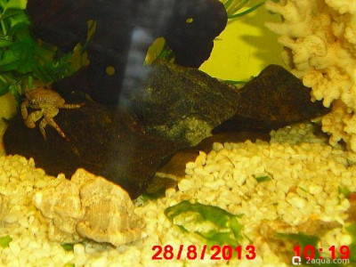 Фото Маленький кусочек моря (photo#157132)