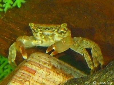 Фото Маленький кусочек моря (photo#157133)