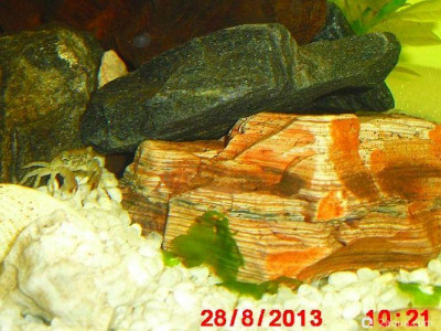 Фото Маленький кусочек моря (photo#157134)