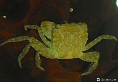 Фото Маленький кусочек моря (photo#157135)