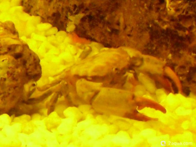 Фото Маленький кусочек моря (photo#157136)