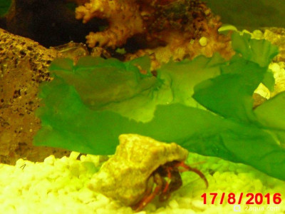 Фото Маленький кусочек моря (photo#157138)