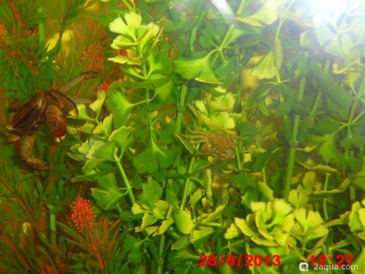 Фото Маленький кусочек моря (photo#157139)