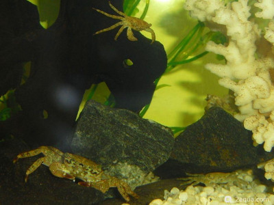 Фото Маленький кусочек моря (photo#157141)