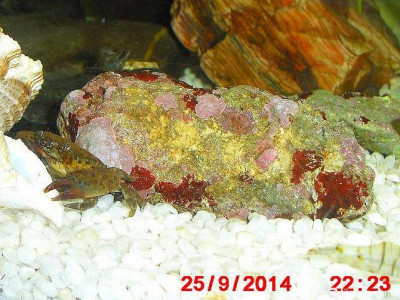 Фото Маленький кусочек моря (photo#157142)