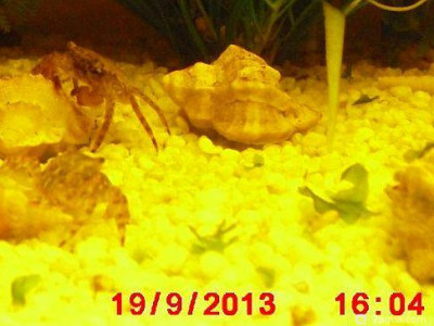 Фото Маленький кусочек моря (photo#157143)