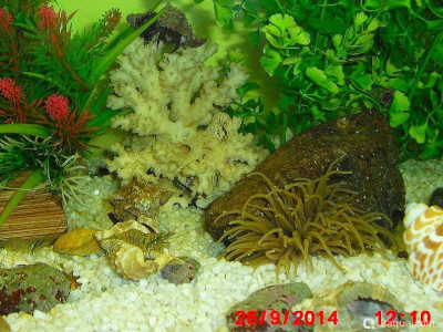 Фото Маленький кусочек моря (photo#157144)