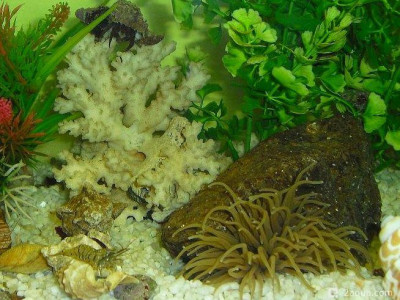 Фото Маленький кусочек моря (photo#157145)