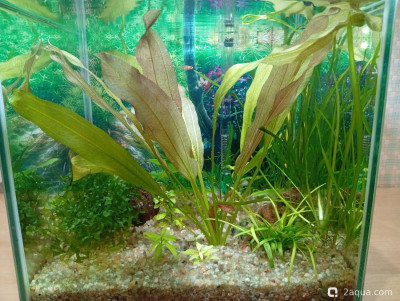 Фото Кубик для кухни 15 литров Ленчик  (photo#157147)