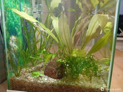 Фото Кубик для кухни 15 литров Ленчик  (photo#157148)