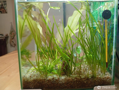 Фото Кубик для кухни 15 литров Ленчик  (photo#157149)