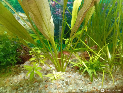 Фото Кубик для кухни 15 литров Ленчик  (photo#157150)