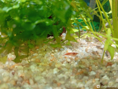 Фото Кубик для кухни 15 литров Ленчик  (photo#157151)