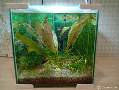 Фото Кубик для кухни 15 литров Ленчик  (photo#157154)