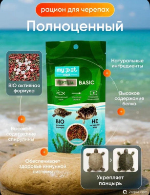 Фото Панцирь облазит красноухая черепаха (photo#157167)
