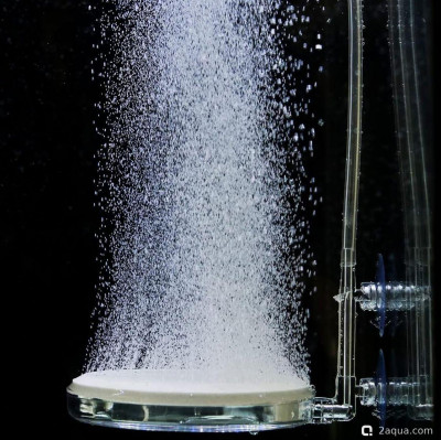 Фото Аэрация в аквариуме: нужны ли пузырьки вашим рыбкам? (photo#157219)