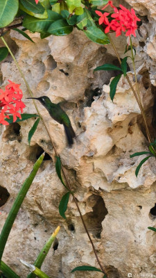 Красивые места, в которых я был - фото #157232