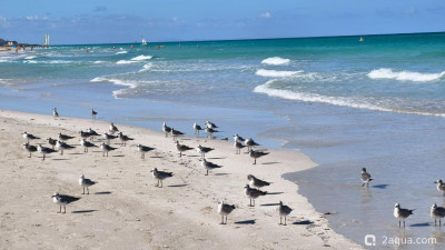 Красивые места, в которых я был - фото #157233