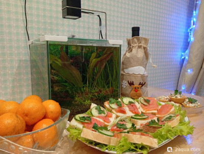 С наступающим 2026, аквариумисты! - фото #157240