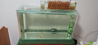 Ширма 135 литров - фото #157242