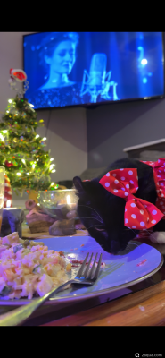 С наступающим 2026, аквариумисты! - фото #157243