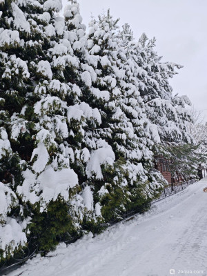 Красивые места, в которых я был - фото #157245