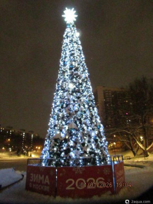 С наступающим 2026, аквариумисты! - фото #157250