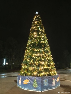 С наступающим 2026, аквариумисты! - фото #157251